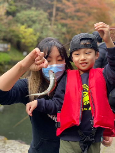 ニジマスの釣果