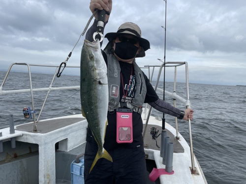 イナダの釣果