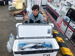 カツオの釣果