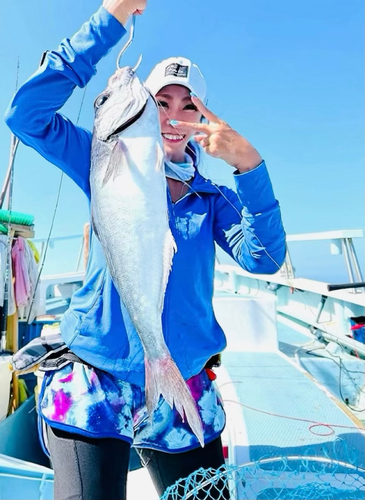 メダイの釣果