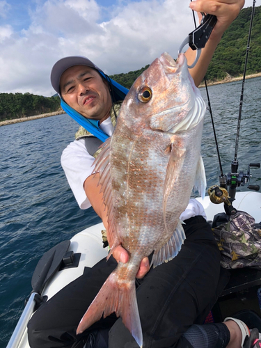 マダイの釣果