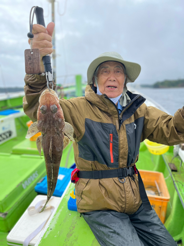 ワニゴチの釣果