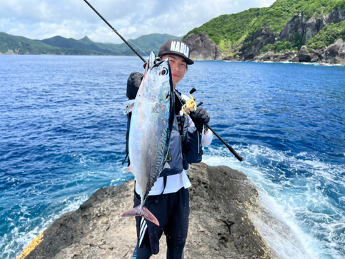 ヒラソウダの釣果