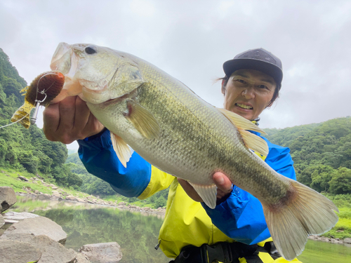 ブラックバスの釣果