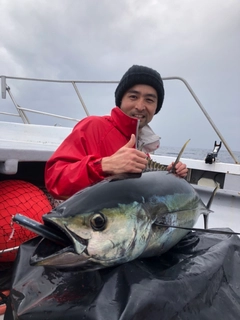 キハダマグロの釣果