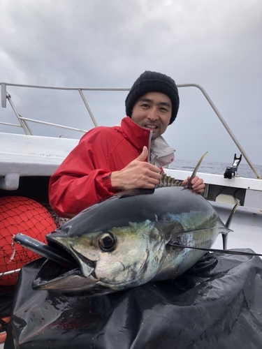 キハダマグロの釣果