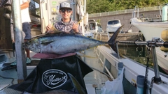 キハダマグロの釣果