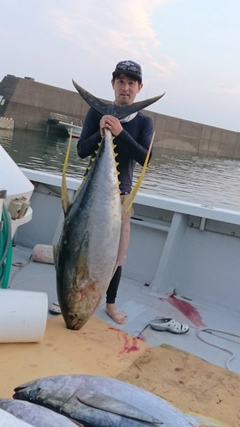 キハダマグロの釣果