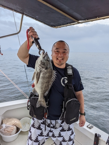 チヌの釣果