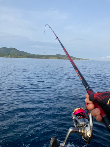 クロの釣果