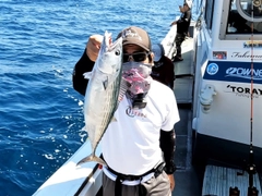 ハガツオの釣果