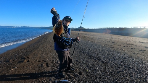 ヒラメの釣果