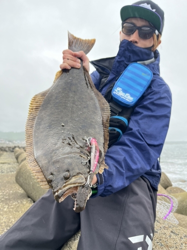 ヒラメの釣果