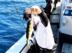 シロサバフグの釣果