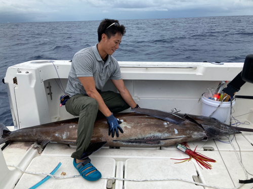 クロカジキの釣果