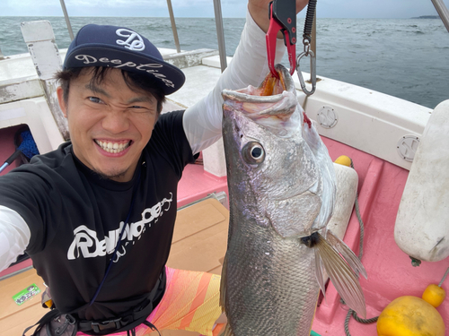 オオニベの釣果