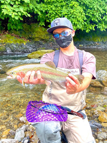 ニジマスの釣果