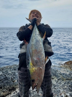 キハダマグロの釣果