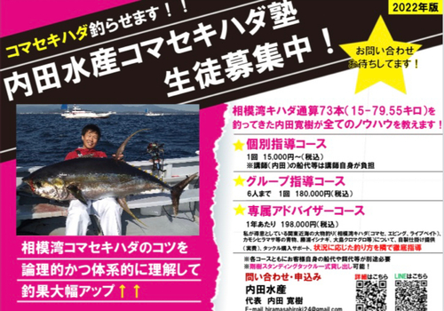 キハダマグロの釣果