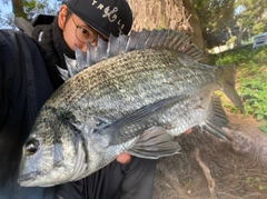 ナンヨウチヌの釣果