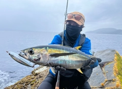 キハダマグロの釣果