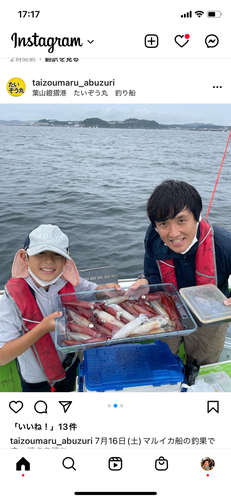 マルイカの釣果