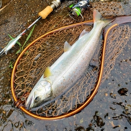 ぐちおの釣果