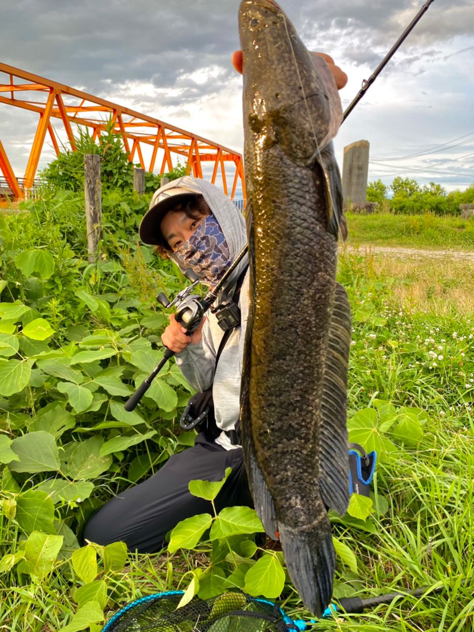 Megabass レヴァンテ JP F5-611LV 2Pの最安値・インプレ・釣果 | 本音