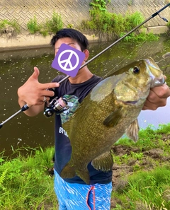 スモールマウスバスの釣果