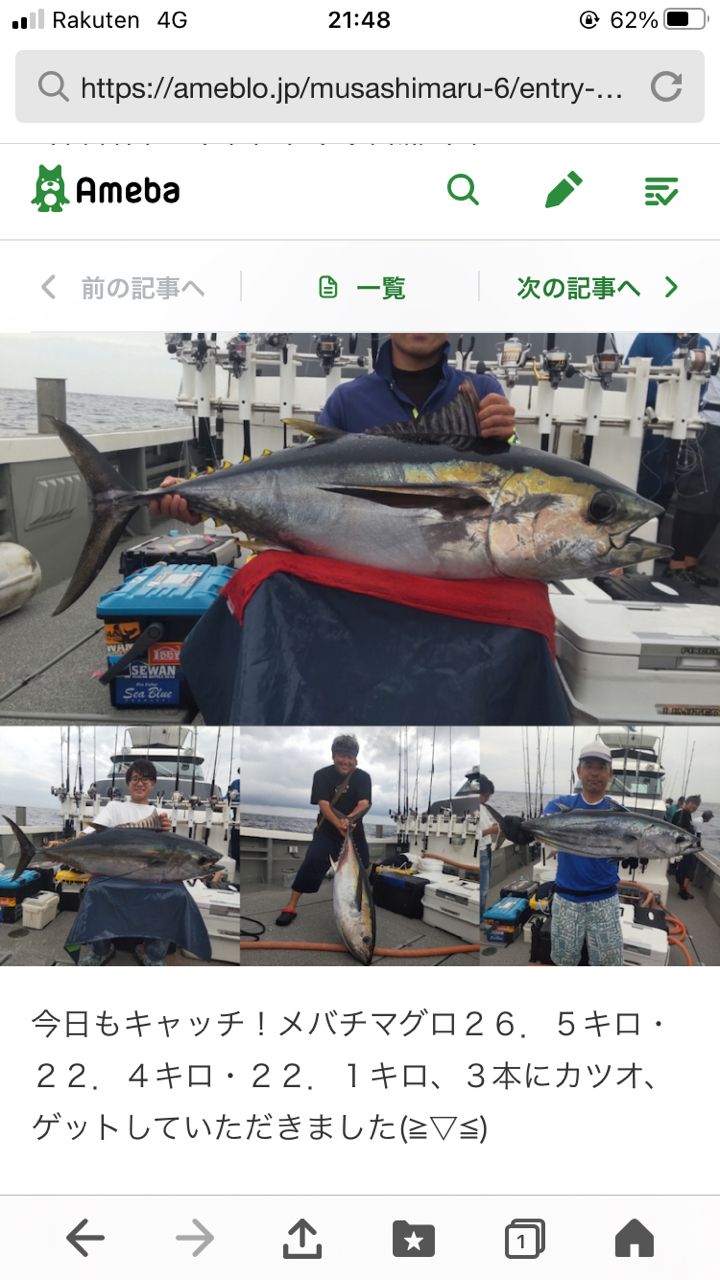 メバチマグロ