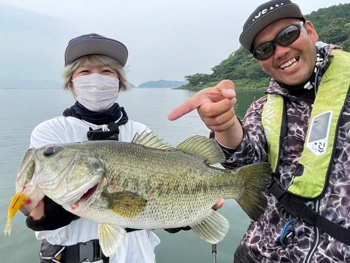 ブラックバスの釣果