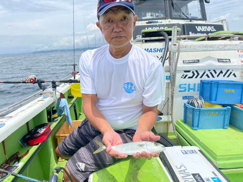 ワカシの釣果