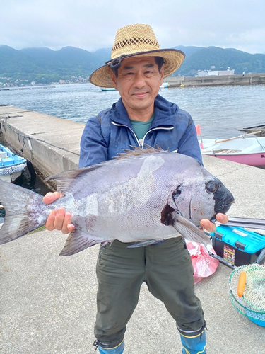 イシダイの釣果