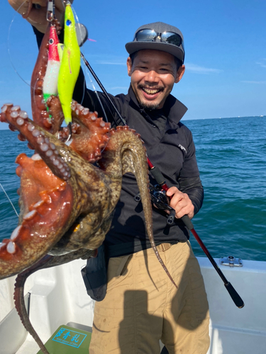 マダコの釣果