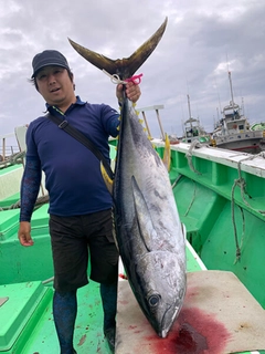 キハダマグロの釣果