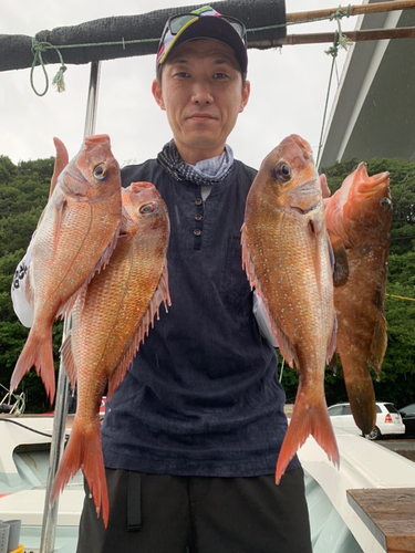 アコウの釣果