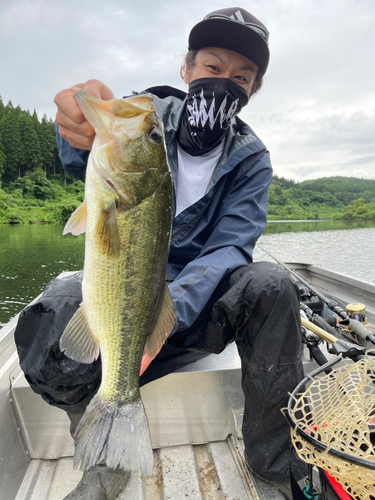 ブラックバスの釣果