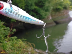 釣果