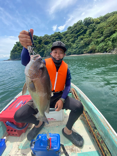 コロダイの釣果