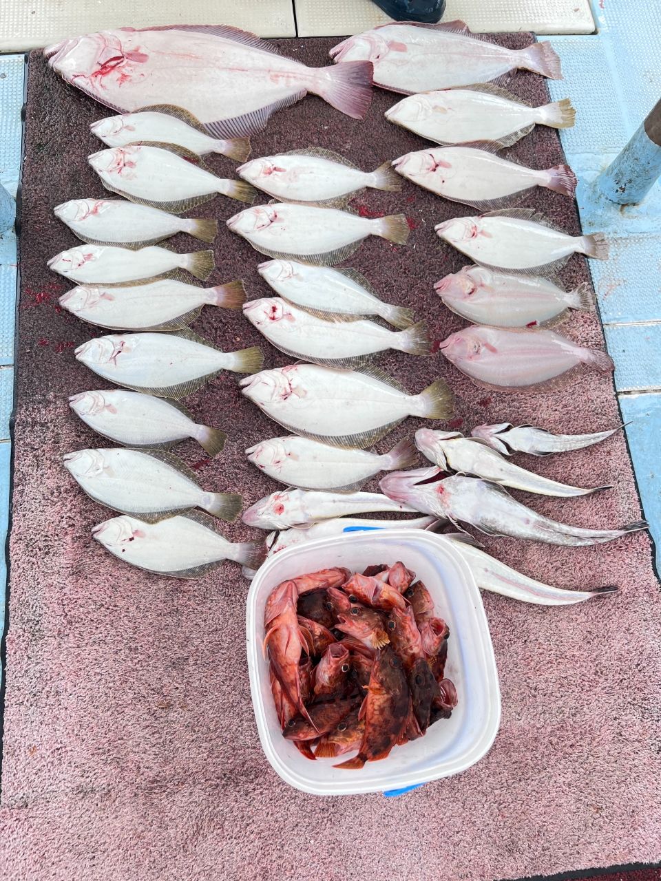 kumaking627さんの釣果 3枚目の画像