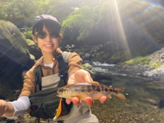 アマゴの釣果