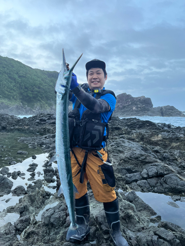 オキザヨリの釣果