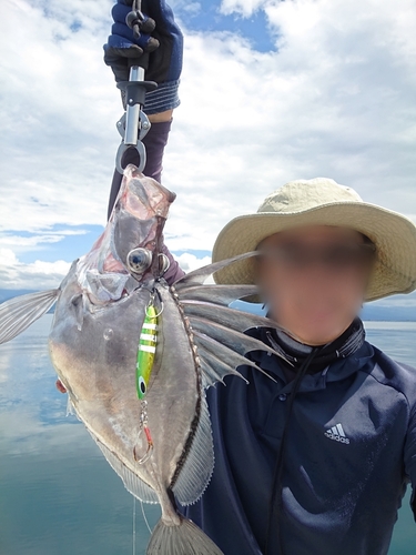 カガミダイの釣果