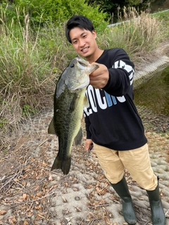 ブラックバスの釣果