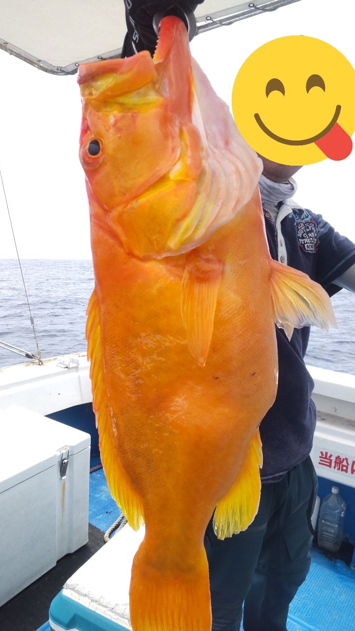 海賊ジャックさんの釣果 2枚目の画像