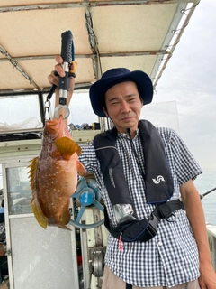 アコウの釣果