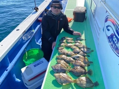 カワハギの釣果