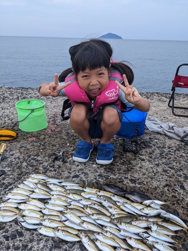 アジの釣果