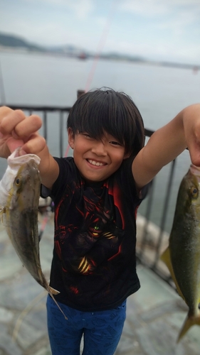 ショゴの釣果