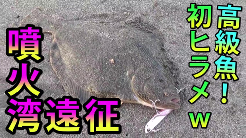 マツカワの釣果